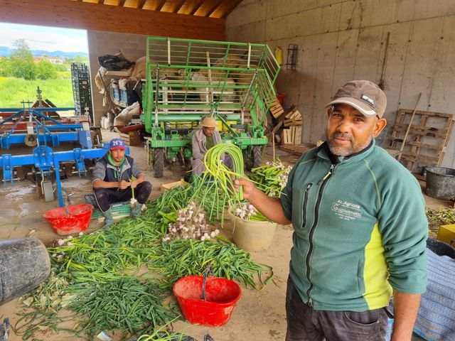 Az. Agricola Guglielmetti Gelmino